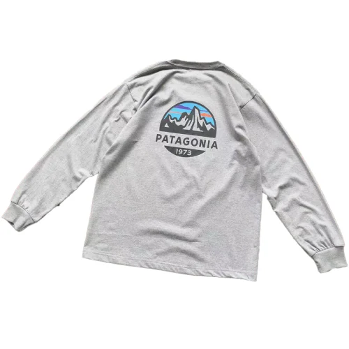 Лонгслив Patagonia Mountain Landscape Inside Circle "Gray"