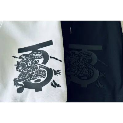 Шорты Burberry Large Logo With A Rider "Black" фото № 2