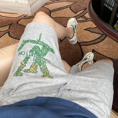 Шорты Louis Vuitton Large Letters of the Logo "Gray" фото № 6