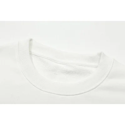 Свитшот Christian Dior Frontside Print Stars "White" фото № 6 Свитшот Christian Dior Frontside Print Stars "White" фото № 6