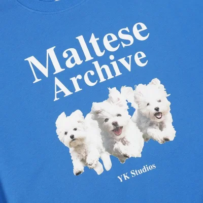 Свитшот Wai Kei Maltese Archive "Blue" фото № 3