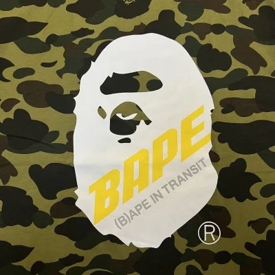 Футболка A Bathing Ape In Transit "Green/Black" фото № 8