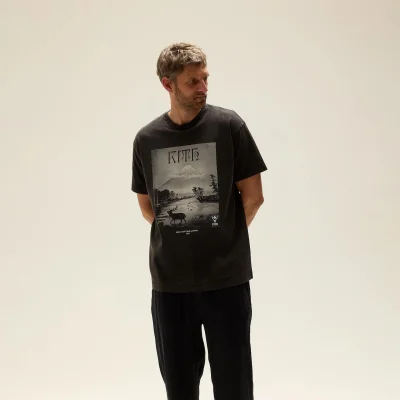 Футболка Columbia x Kith Japan Moose "Gray" фото № 3