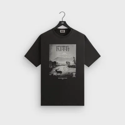 Футболка Columbia x Kith Japan Moose "Gray" фото № 2