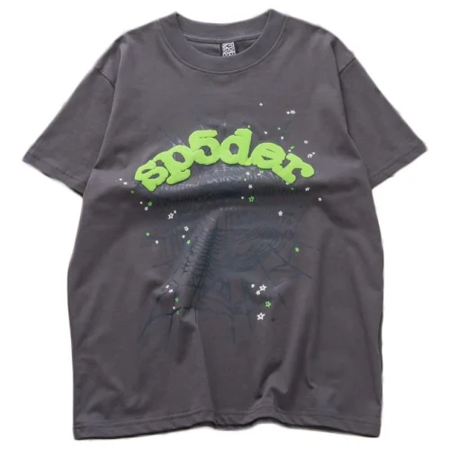 Футболка Sp5der Web And Logo Inscription "Gray"