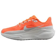 Nike Air Zoom Pegasus 41 Nike Air Zoom Pegasus 41