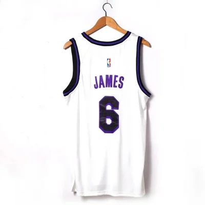 Баскетбольная Джерси Nike X NBA Los Angeles Lakers 22-23 №6 LeBron James "White" фото № 3