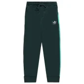 Штаны Gucci X Adidas Monochrome With Stripes "Green"