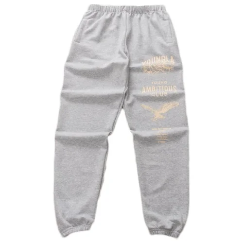 Штаны Youngla Logo And Eagle Print "Gray"