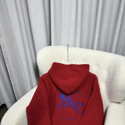 Худи Burberry Backside Print Navy Blue Warrior On The Horse "Red" фото № 3