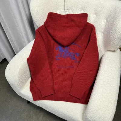 Худи Burberry Backside Print Navy Blue Warrior On The Horse "Red" фото № 2