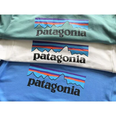 Худи Patagonia Mountain Landscape With Colorful Stripes Front Print "White" фото № 4 Худи Patagonia Mountain Landscape With Colorful Stripes Front Print "White" фото № 4