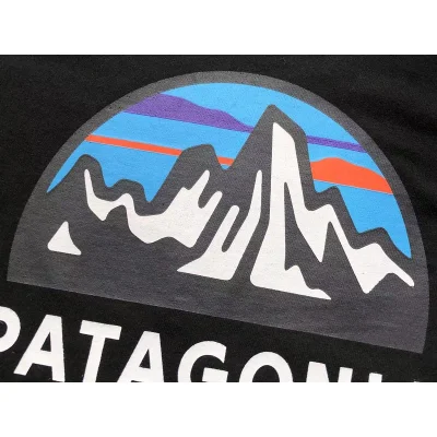 Лонгслив Patagonia Mountain Landscape Inside Circle "Black" фото № 5