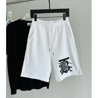 Шорты Burberry Large Logo With A Rider "White" фото № 2