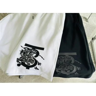 Шорты Burberry Large Logo With A Rider "White" фото № 3