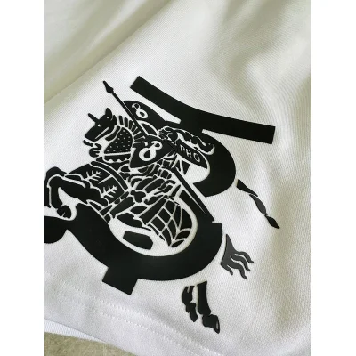 Шорты Burberry Large Logo With A Rider "White" фото № 5