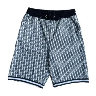 Шорты Dior The Illusion Of Scales "Gray/White"