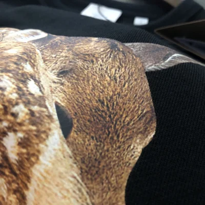 Свитшот Burberry Fawn "Black" фото № 5