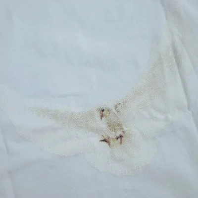 Футболка Jil Sander Front Inscription And Back Bird Print "White" фото № 5