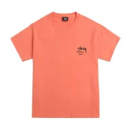 Футболка Stussy Outdated Photo - Print "Peach/White"
