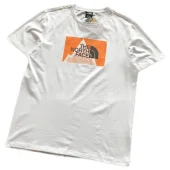 Футболка The North Face Mountains With Logo "White"