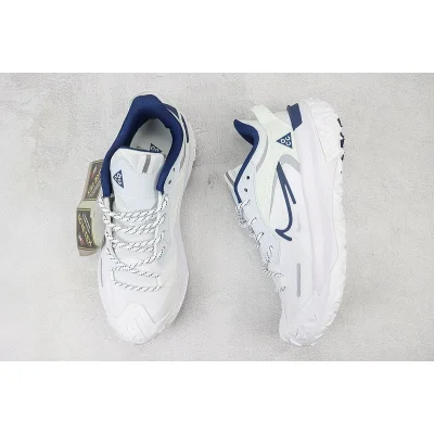 Nike ACG Mountain Fly 2 Low "Silver/Navy/White" фото № 6