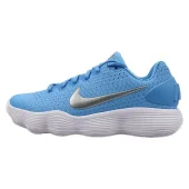 Nike Hyperdunk Low "Blue/Silver"