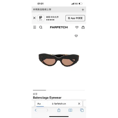 Солнцезащитные очки Balenciaga Cat Eye Shaped Temples Decorated By Symbols "Brown" фото № 3
