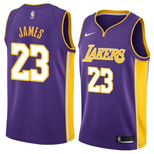 Баскетбольная Джерси Nike Los Angeles Lakers №23 LeBron James "Violet"