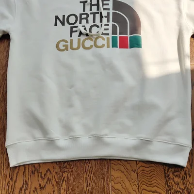 Худи The North Face X Gucci With Brand Logo "White" фото № 6