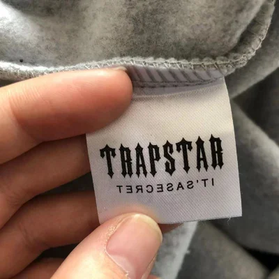 Штаны Trapstar Two Color Embroidered Logo "Gray" фото № 6