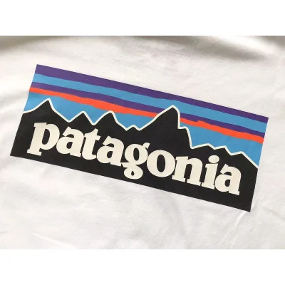 Лонгслив Patagonia Plain Background With Mountain View Inside Rectangle "White" фото № 3