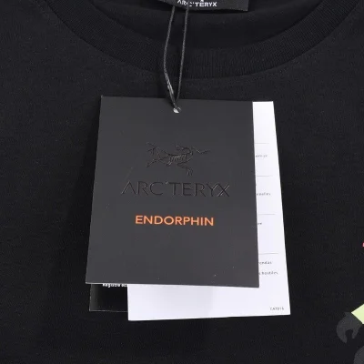 Футболка Arcteryx The Ape Man "Black" фото № 4