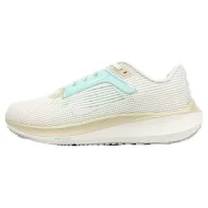 Nike Air Zoom Pegasus 40