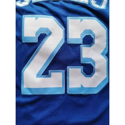 Баскетбольная Джерси Nike Los Angeles Lakers 19-20 №23 LeBron James "Blue" фото № 2