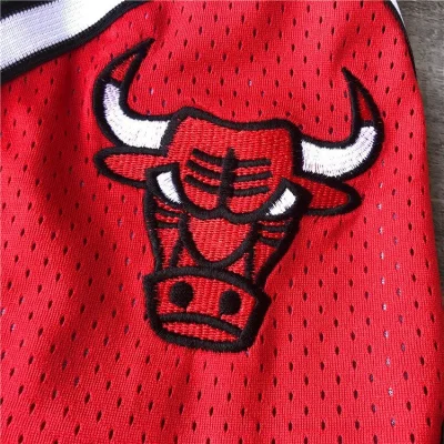 Баскетбольные Шорты Just Don Chicago Bulls With Logo "Green" фото № 4