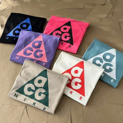 Лонгслив ACG Logo Inside Triangle Front "Beige" фото № 3