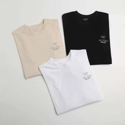 Лонгслив Arcteryx Palace "Beige" фото № 2