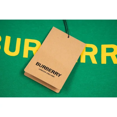 Свитшот Burberry Baggy "Green" фото № 2 Свитшот Burberry Baggy "Green" фото № 2