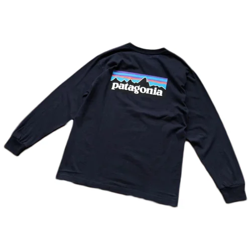 Лонгслив Patagonia Plain Background With Mountain View Inside Rectangle "Navy"