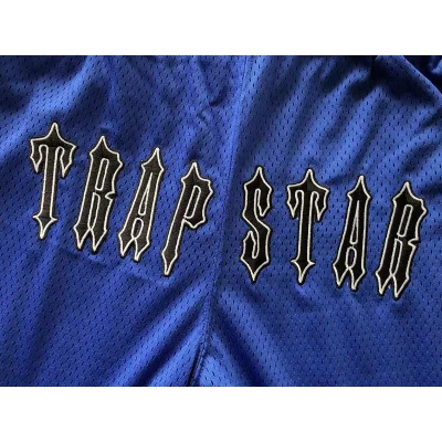 Шорты Trapstar Logo And Edge Decorated By Stripes "Blue" фото № 3