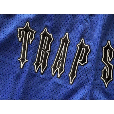 Шорты Trapstar Logo And Edge Decorated By Stripes "Blue" фото № 5