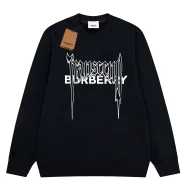 Свитшот Burberry Frontside Logo Transcend