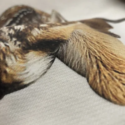 Свитшот Burberry Fawn "White" фото № 8