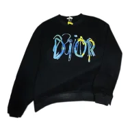 Свитшот Christian Dior Colorful Frontside Logotype Свитшот Christian Dior Colorful Frontside Logotype