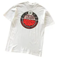 Футболка Stussy Lettering Inside Colorful Circle "White"