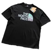 Футболка The North Face Logo With Small Mountain Print "Black"