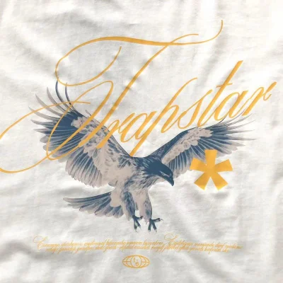 Футболка Trapstar Eagle With Logo Inscription And Star "White" фото № 3