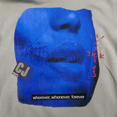 Худи Cactus Jack Wherever, Whenever, Forever "Gray" фото № 8 Худи Cactus Jack Wherever, Whenever, Forever "Gray" фото № 8