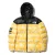 Пуховик Supreme x The North Face 'Yellow'